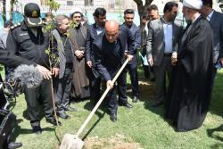 پویش درختکاری کاشت نهال امید در پارک شهدای ارتش خیابان ارتش به یاد شهدای جنگ رمضان