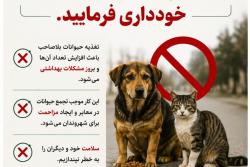 اجرای عملیات زنده&zwnj;گیری حیوانات بلاصاحب در سطح شهر