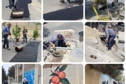 اهم فعالیت های عمرانی ، خدماتی منطقه سه در روزهای اخیر: